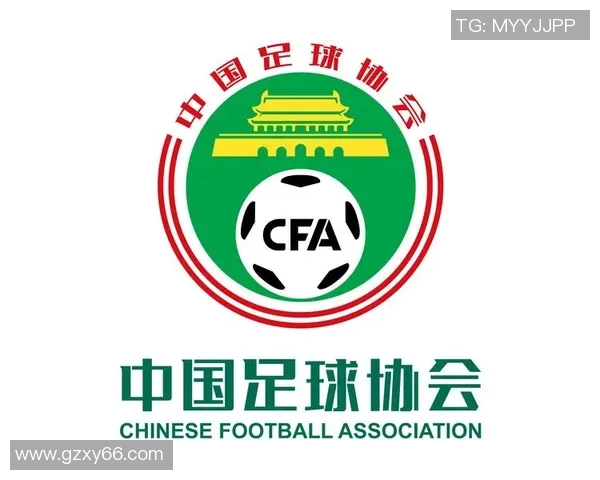 中国足球甲级联赛新赛季展望球队实力对比与前景分析